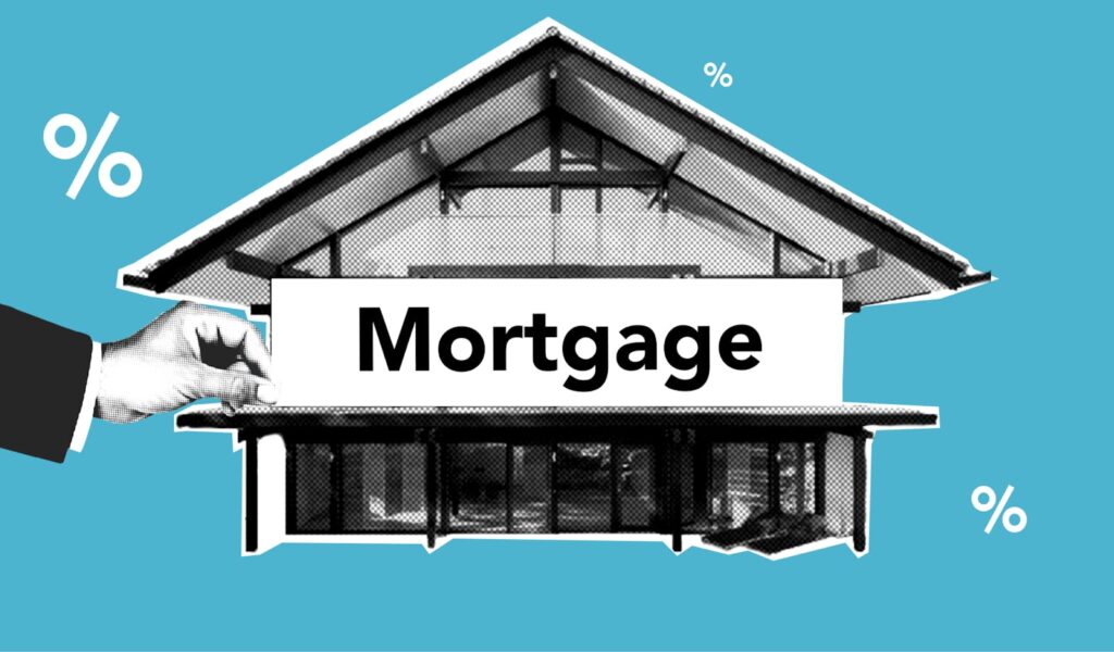 Cost-Effective Solutions for New Brokers with Fintechee